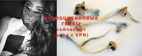 спиды Арсеньев