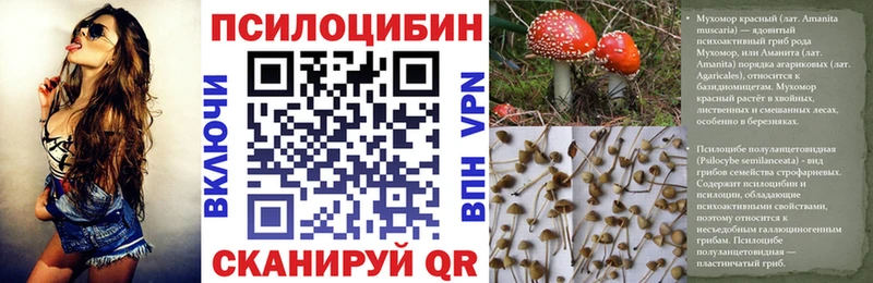 Псилоцибиновые грибы Cubensis где купить наркоту Городище